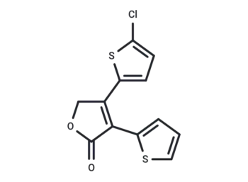 YC-001