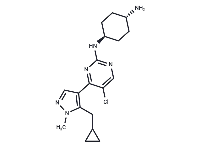 Casein Kinase inhibitor A51