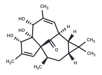 20-DEOXYINGENOL
