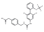 RORγt inverse agonist 13
