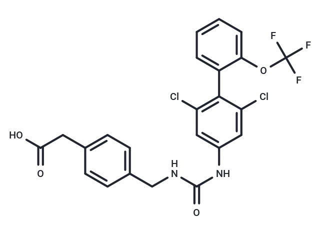 RORγt inverse agonist 13