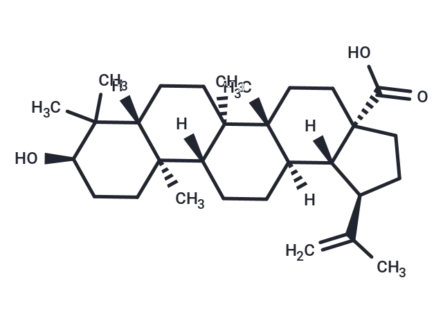 Epibetulinic acid Epibetulinic acid