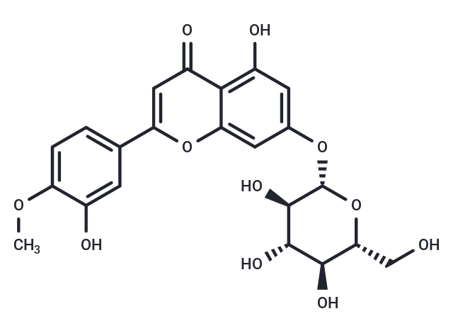 Diosmetin-7-O-β-D-glucopyranoside