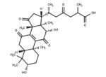 Ganoderic acid C6