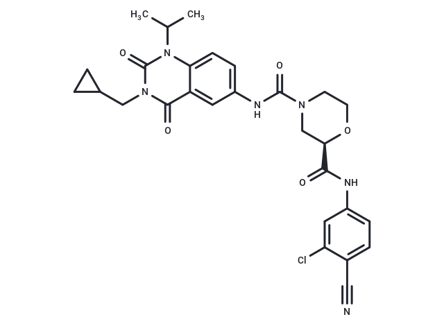 RORγt Inverse agonist 6