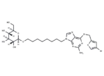 O6BTG-octylglucoside