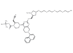 K-Ras ligand-Linker Conjugate 5