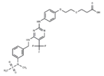 FAK ligand-Linker Conjugate 1