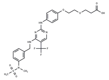 FAK ligand-Linker Conjugate 1