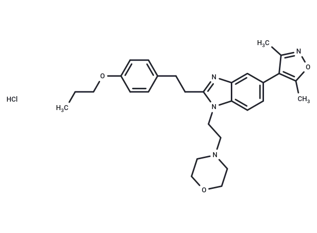 PF-CBP1 hydrochloride