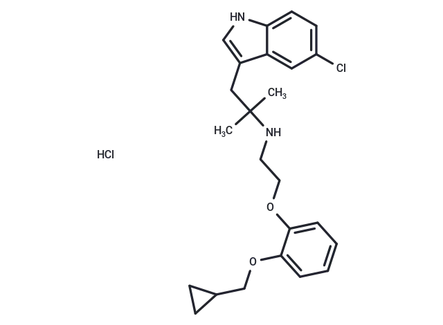 RS 17053 hydrochloride