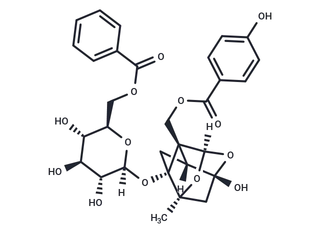 Benzoyloxypaeoniflorin