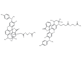HKYellow-AM (6/12-mixture)