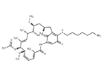 Aminohexylgeldanamycin
