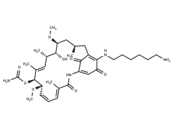 Aminohexylgeldanamycin