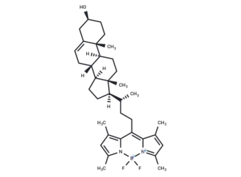 BODIPY-Cholesterol