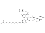 Tunicamycin V 1 Tunicamycin V