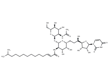 Tunicamycin V