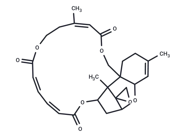 Verrucarin J