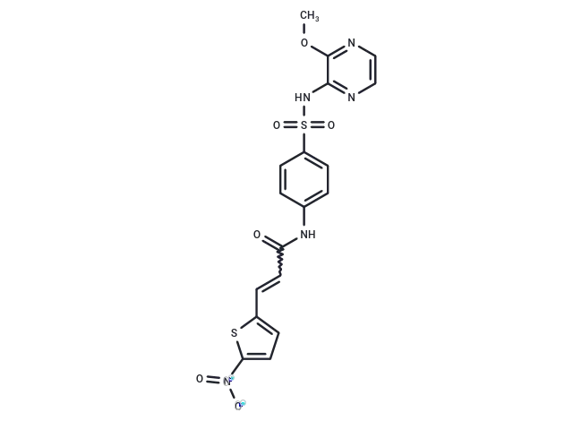 (E/Z)-Necrosulfonamide