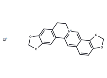 Coptisine chloride