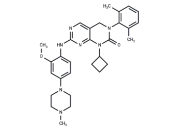 YKL-06-061