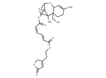 Roridin L2