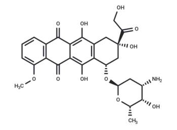 Doxorubicin
