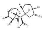 Gibberellic acid 1 Gibberellic acid