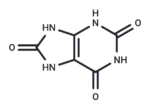 Uric Acid
