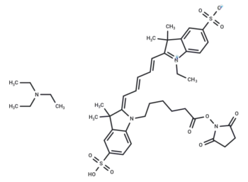 CY5-SE triethylamine salt