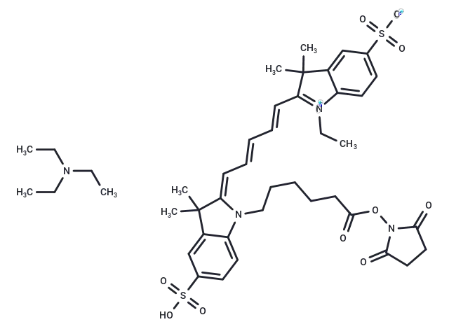CY5-SE triethylamine salt