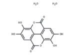 Ellagic Acid Dihydrate