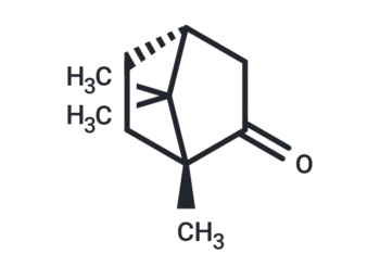 (+)-Camphor