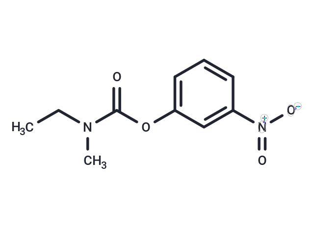 Rivastigmine carbamate impurity