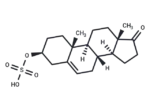 Dehydroepiandrosterone sulfate
