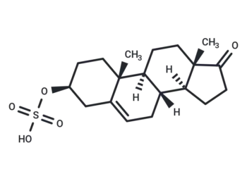 Dehydroepiandrosterone sulfate