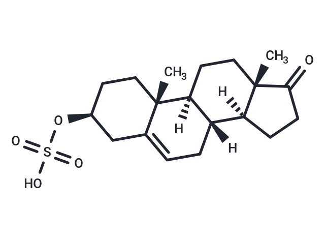 Dehydroepiandrosterone sulfate