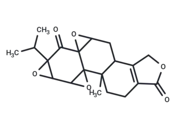 Triptonide