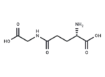 γ-Glu-Gly