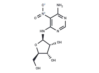 Clitocine