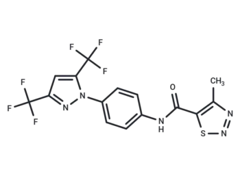 YM-58483