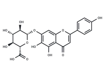 Scutellarin