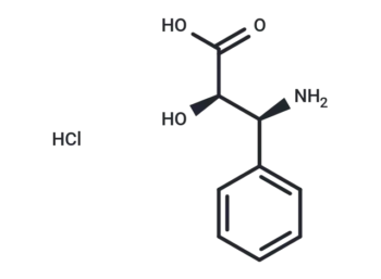 (2R,3S)-3-Phenylisoserine hydrochloride