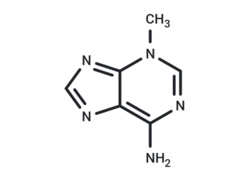 3-Methyladenine