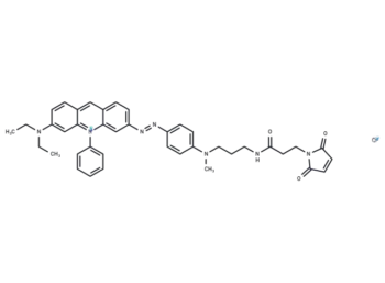 BHQ3 Maleimide