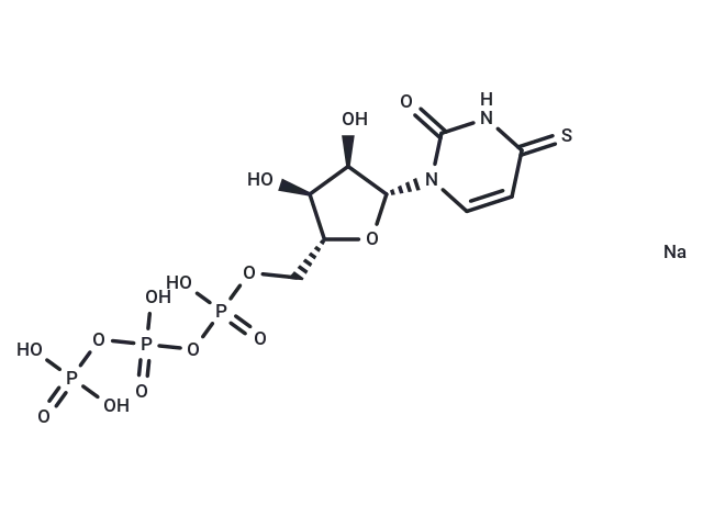 4-Thiouridine 5′-triphosphate disodium 4-Thiouridine 5′-triphosphate disodium