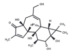 4α-Phorbol 1 4α-Phorbol