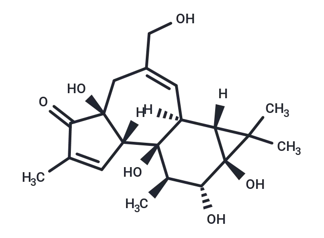 4α-Phorbol 4α-Phorbol