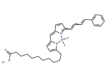 BODIPY 581/591 C11